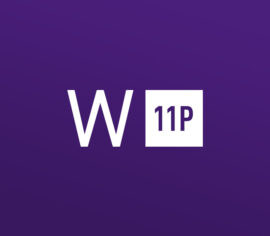 Windows 11 Professional OEM Key