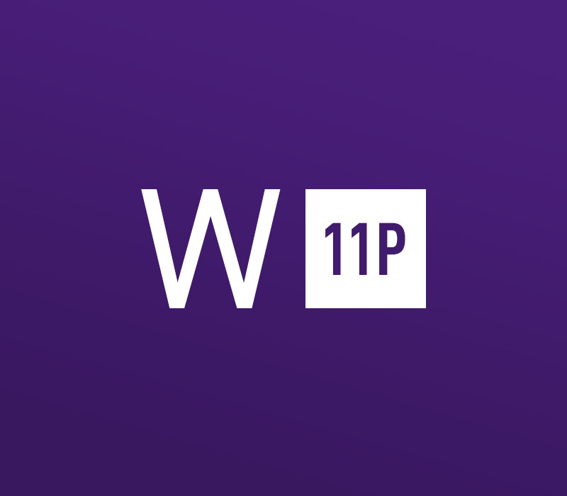 Windows 11 Professional Online Activation 5 Keys Bundle