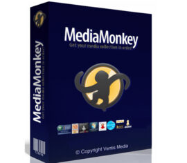 MediaMonkey 5 Gold Licence for Windows CD Key (Lifetime / 2 PCs)